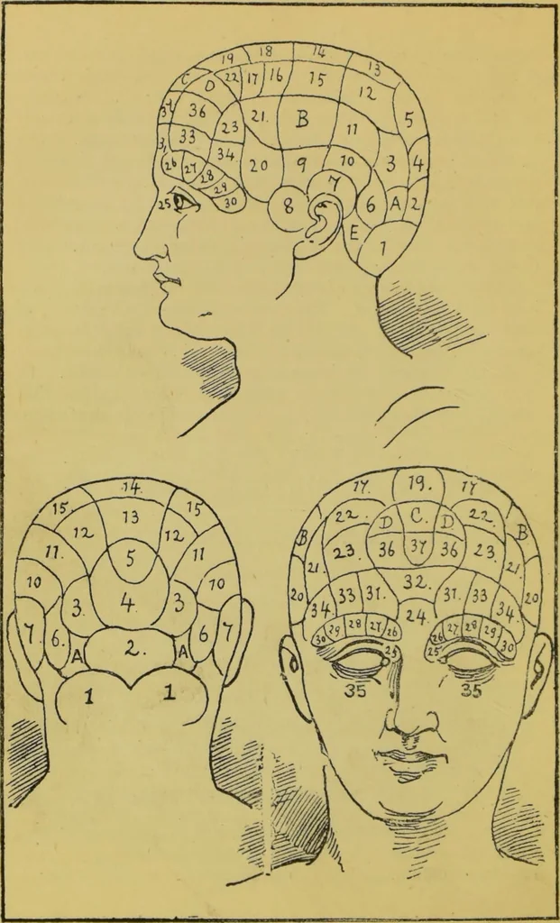 An illustration from The modern self-instructor in phrenology, physiology & physiognomy, or, The people's hand-book of human nature : containing a view of the moral and theological bearing of the science of phrenology / by Gustavus Cohen., 1889, leaf 74