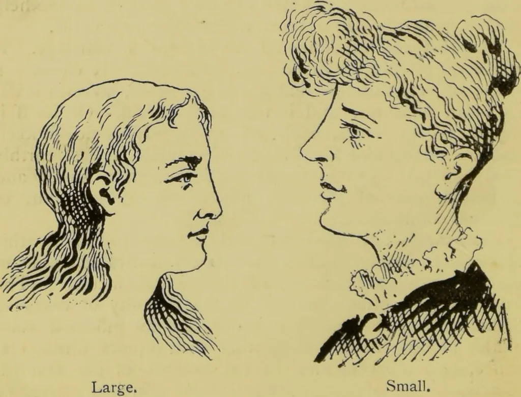 An illustration from The modern self-instructor in phrenology, physiology & physiognomy, or, The people's hand-book of human nature : containing a view of the moral and theological bearing of the science of phrenology / by Gustavus Cohen., 1889, leaf 82