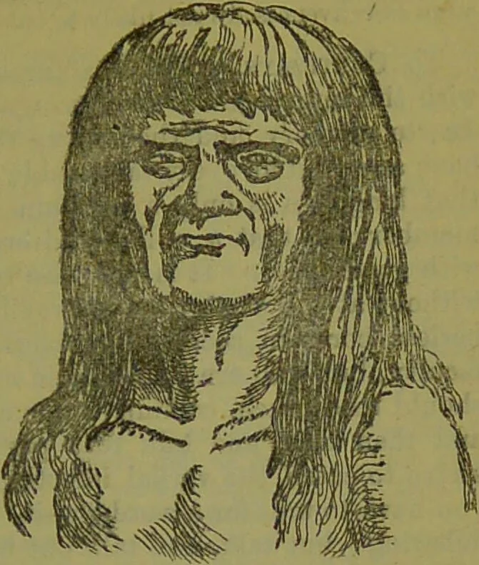 An illustration from New self-instructor guide to health and illustrated chart of phrenological and physiological development, with delineation of the character of M... / given by Albert J. Wildy., 1890, leaf 73
