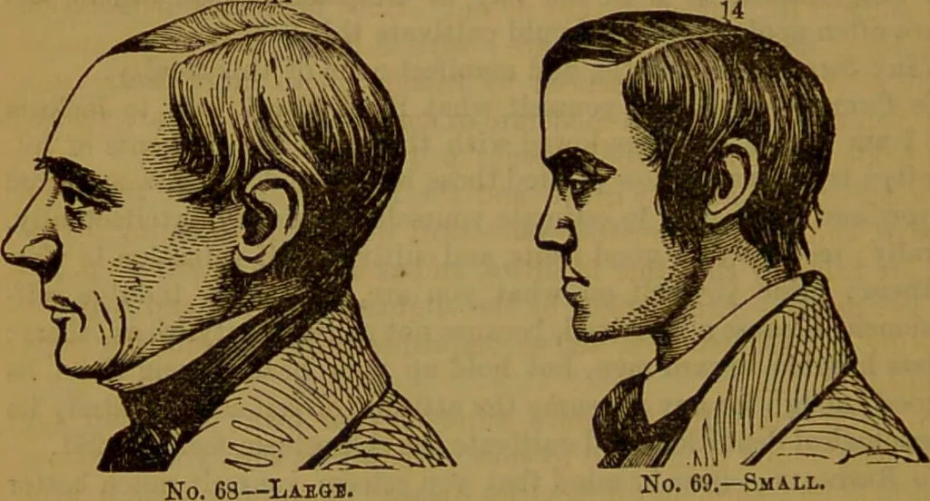 An illustration from Fowler's New illustrated self-instructor in phrenology and physiology : with over one hundred engravings, together with the chart and character of ... as marked by ... / by Lorenzo N. Fowler., 1891, leaf 122