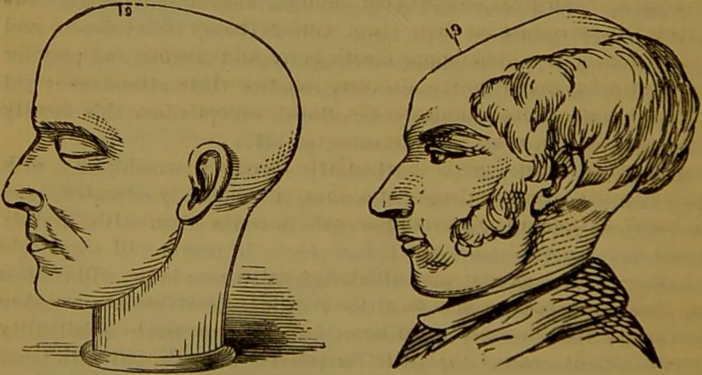 An illustration from Fowler's New illustrated self-instructor in phrenology and physiology : with over one hundred engravings, together with the chart and character of ... as marked by ... / by Lorenzo N. Fowler., 1891, leaf 134