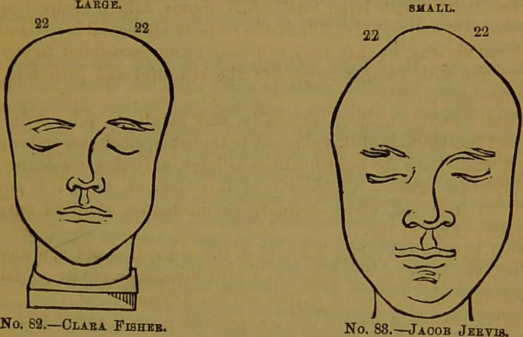An illustration from Fowler's New illustrated self-instructor in phrenology and physiology : with over one hundred engravings, together with the chart and character of ... as marked by ... / by Lorenzo N. Fowler., 1891, leaf 143
