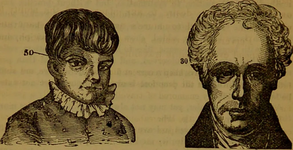 An illustration from Fowler's New illustrated self-instructor in phrenology and physiology : with over one hundred engravings, together with the chart and character of ... as marked by ... / by Lorenzo N. Fowler., 1891, leaf 158