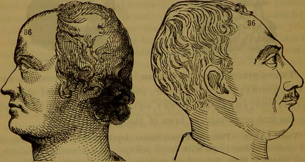 An illustration from Fowler's New illustrated self-instructor in phrenology and physiology : with over one hundred engravings, together with the chart and character of ... as marked by ... / by Lorenzo N. Fowler., 1891, leaf 168