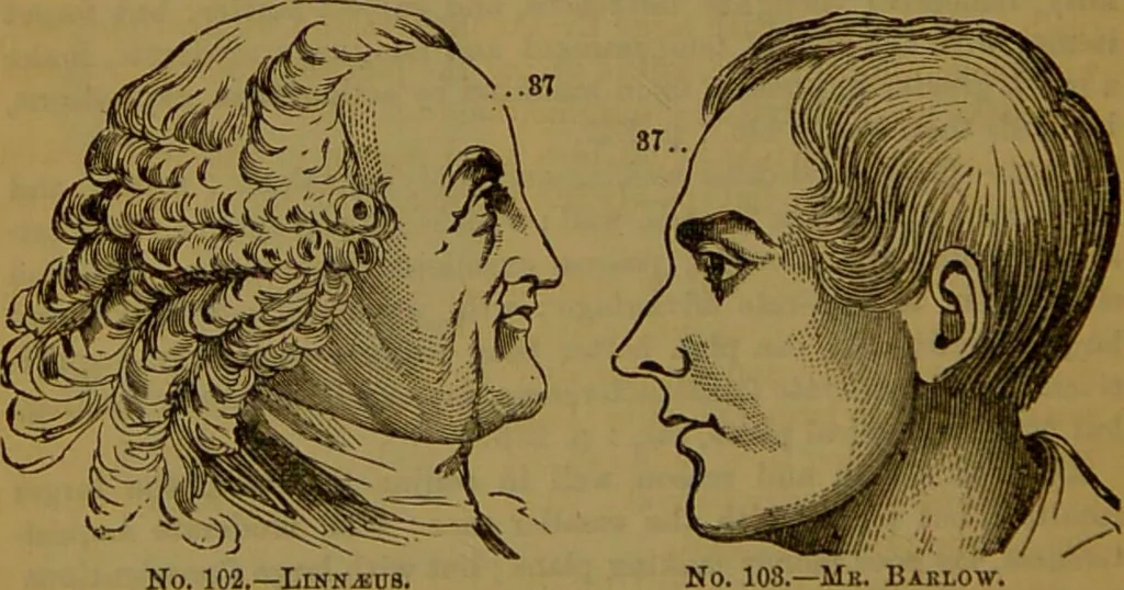 An illustration from Fowler's New illustrated self-instructor in phrenology and physiology : with over one hundred engravings, together with the chart and character of ... as marked by ... / by Lorenzo N. Fowler., 1891, leaf 170