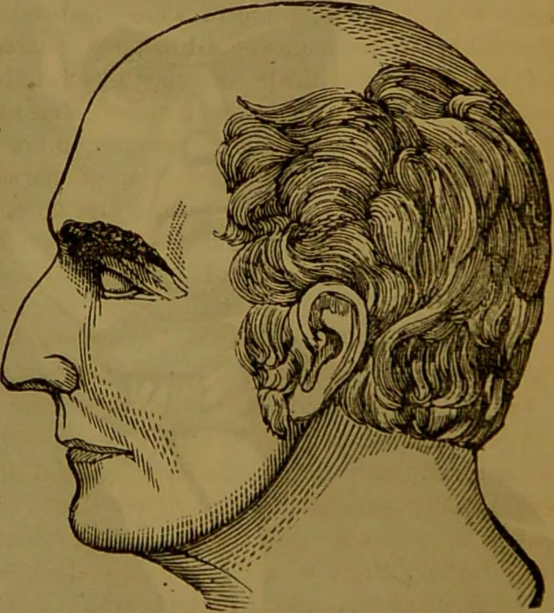 An illustration from Fowler's New illustrated self-instructor in phrenology and physiology : with over one hundred engravings, together with the chart and character of ... as marked by ... / by Lorenzo N. Fowler., 1891, leaf 58