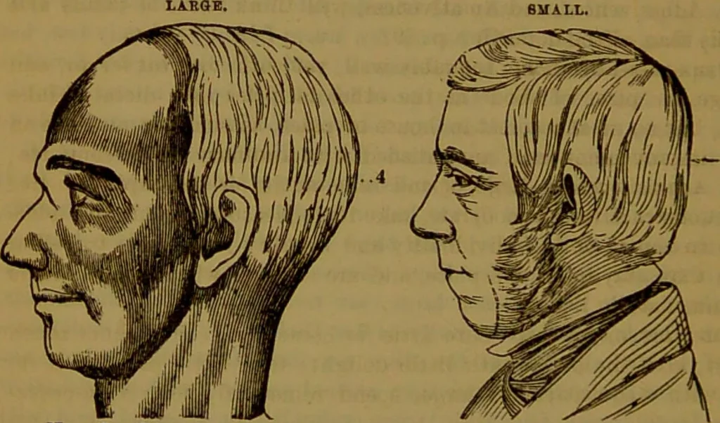 An illustration from Fowler's New illustrated self-instructor in phrenology and physiology : with over one hundred engravings, together with the chart and character of ... as marked by ... / by Lorenzo N. Fowler., 1891, leaf 94