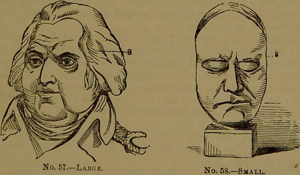 An illustration from Fowler's New illustrated self-instructor in phrenology and physiology : with over one hundred engravings, together with the chart and character of ... as marked by ... / by Lorenzo N. Fowler., 1893, leaf 105