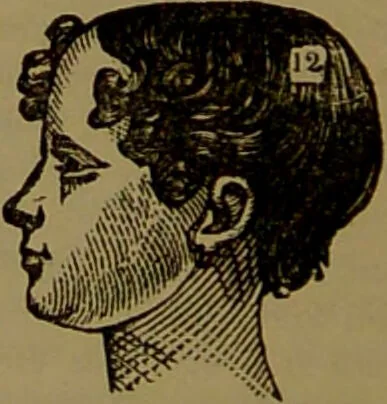 An illustration from Fowler's New illustrated self-instructor in phrenology and physiology : with over one hundred engravings, together with the chart and character of ... as marked by ... / by Lorenzo N. Fowler., 1893, leaf 116