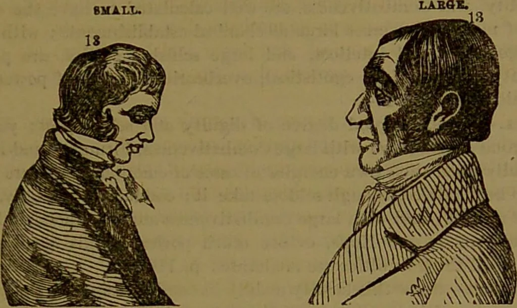 An illustration from Fowler's New illustrated self-instructor in phrenology and physiology : with over one hundred engravings, together with the chart and character of ... as marked by ... / by Lorenzo N. Fowler., 1893, leaf 119