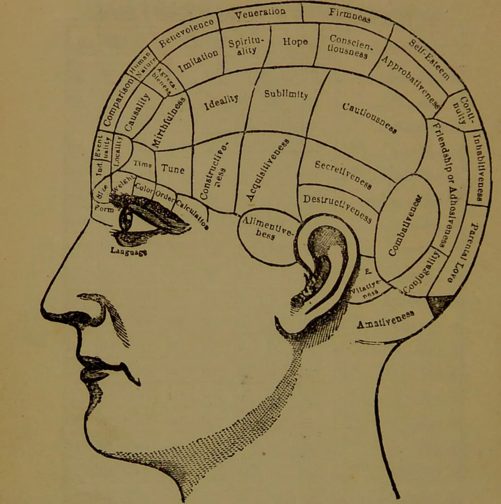 An illustration from Fowler's New illustrated self-instructor in phrenology and physiology : with over one hundred engravings, together with the chart and character of ... as marked by ... / by Lorenzo N. Fowler., 1893, leaf 12
