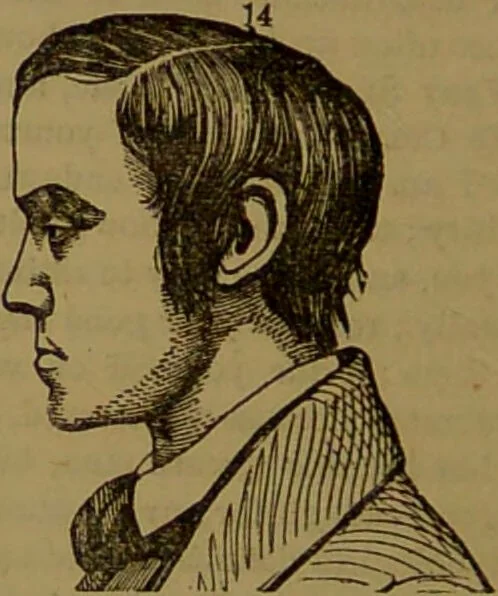 An illustration from Fowler's New illustrated self-instructor in phrenology and physiology : with over one hundred engravings, together with the chart and character of ... as marked by ... / by Lorenzo N. Fowler., 1893, leaf 122