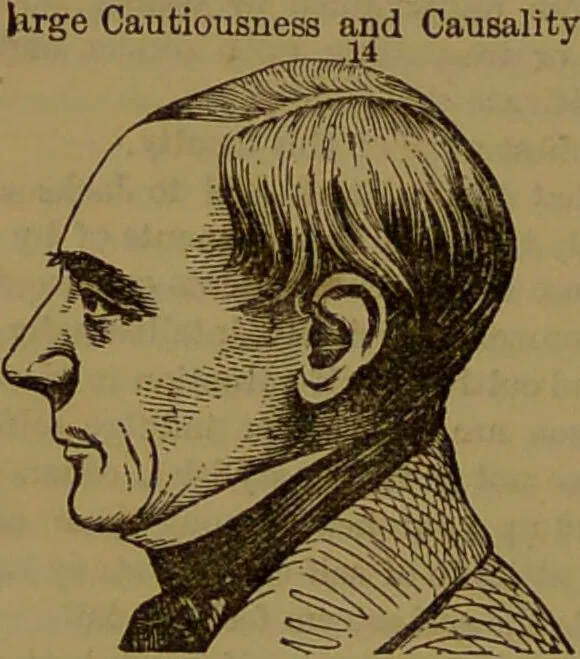 An illustration from Fowler's New illustrated self-instructor in phrenology and physiology : with over one hundred engravings, together with the chart and character of ... as marked by ... / by Lorenzo N. Fowler., 1893, leaf 122
