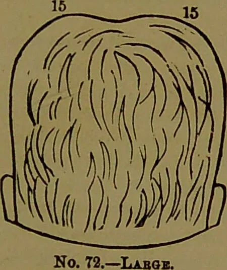 An illustration from Fowler's New illustrated self-instructor in phrenology and physiology : with over one hundred engravings, together with the chart and character of ... as marked by ... / by Lorenzo N. Fowler., 1893, leaf 125