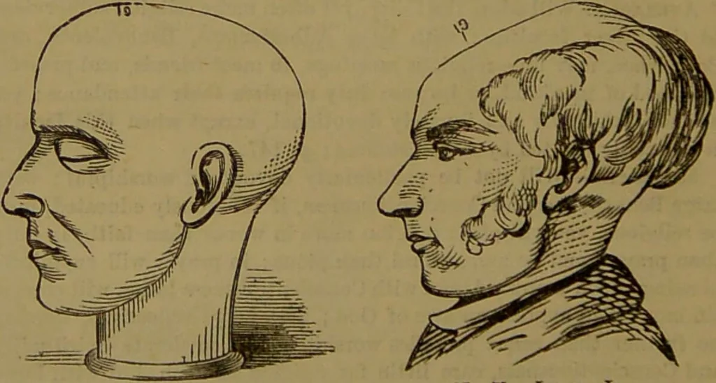 An illustration from Fowler's New illustrated self-instructor in phrenology and physiology : with over one hundred engravings, together with the chart and character of ... as marked by ... / by Lorenzo N. Fowler., 1893, leaf 134