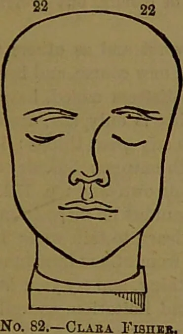 An illustration from Fowler's New illustrated self-instructor in phrenology and physiology : with over one hundred engravings, together with the chart and character of ... as marked by ... / by Lorenzo N. Fowler., 1893, leaf 143