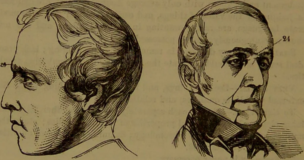 An illustration from Fowler's New illustrated self-instructor in phrenology and physiology : with over one hundred engravings, together with the chart and character of ... as marked by ... / by Lorenzo N. Fowler., 1893, leaf 150
