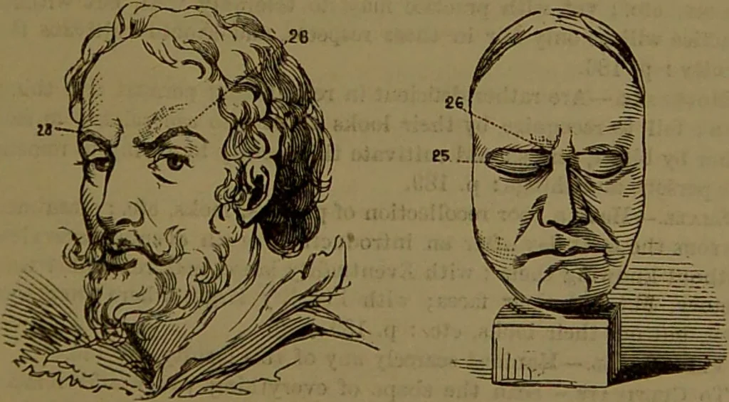 An illustration from Fowler's New illustrated self-instructor in phrenology and physiology : with over one hundred engravings, together with the chart and character of ... as marked by ... / by Lorenzo N. Fowler., 1893, leaf 151