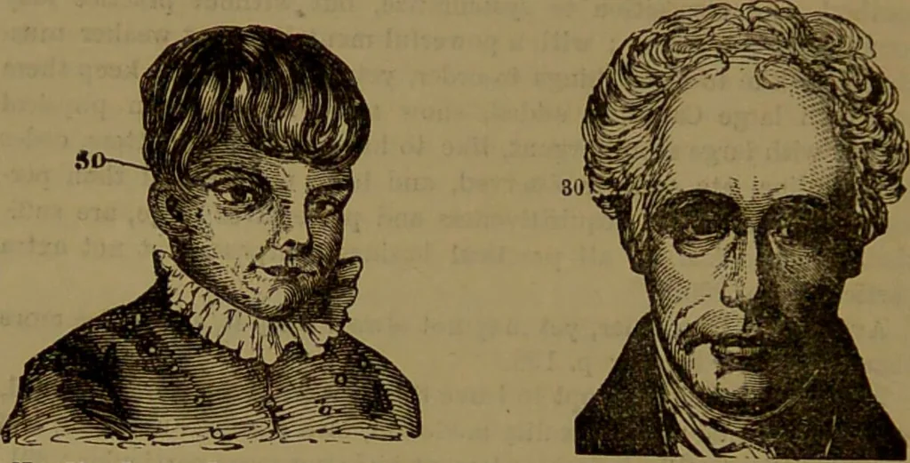 An illustration from Fowler's New illustrated self-instructor in phrenology and physiology : with over one hundred engravings, together with the chart and character of ... as marked by ... / by Lorenzo N. Fowler., 1893, leaf 158
