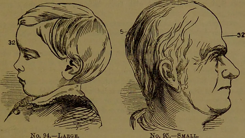 An illustration from Fowler's New illustrated self-instructor in phrenology and physiology : with over one hundred engravings, together with the chart and character of ... as marked by ... / by Lorenzo N. Fowler., 1893, leaf 161