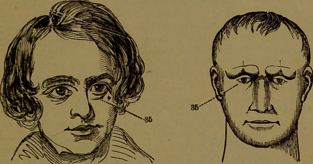 An illustration from Fowler's New illustrated self-instructor in phrenology and physiology : with over one hundred engravings, together with the chart and character of ... as marked by ... / by Lorenzo N. Fowler., 1893, leaf 165