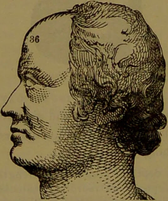 An illustration from Fowler's New illustrated self-instructor in phrenology and physiology : with over one hundred engravings, together with the chart and character of ... as marked by ... / by Lorenzo N. Fowler., 1893, leaf 168
