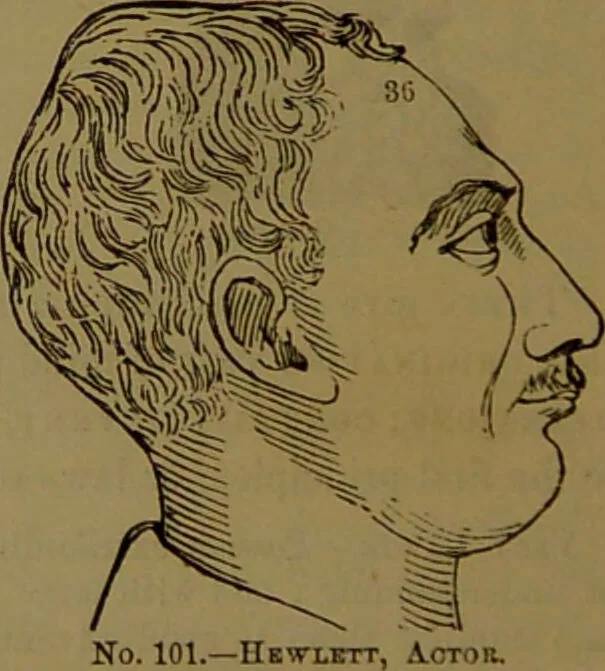 An illustration from Fowler's New illustrated self-instructor in phrenology and physiology : with over one hundred engravings, together with the chart and character of ... as marked by ... / by Lorenzo N. Fowler., 1893, leaf 168
