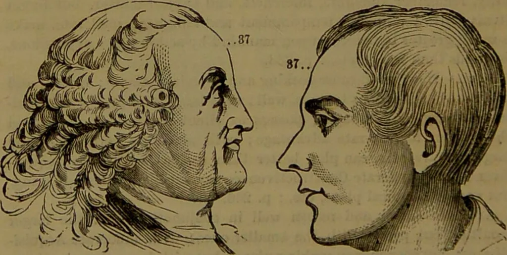 An illustration from Fowler's New illustrated self-instructor in phrenology and physiology : with over one hundred engravings, together with the chart and character of ... as marked by ... / by Lorenzo N. Fowler., 1893, leaf 170