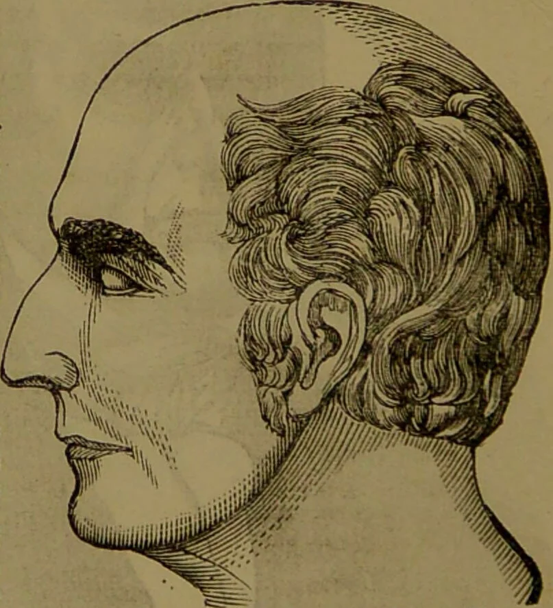 An illustration from Fowler's New illustrated self-instructor in phrenology and physiology : with over one hundred engravings, together with the chart and character of ... as marked by ... / by Lorenzo N. Fowler., 1893, leaf 58