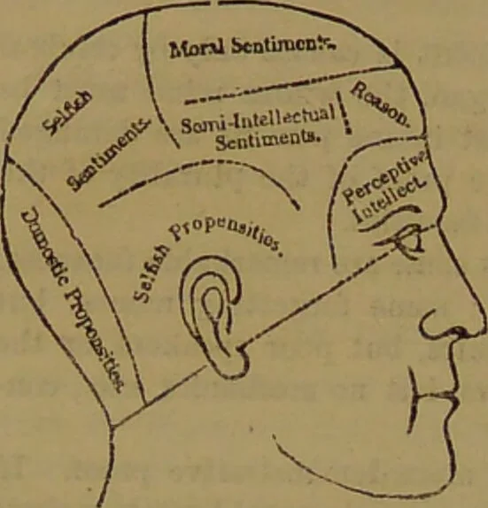 An illustration from Fowler's New illustrated self-instructor in phrenology and physiology : with over one hundred engravings, together with the chart and character of ... as marked by ... / by Lorenzo N. Fowler., 1893, leaf 70