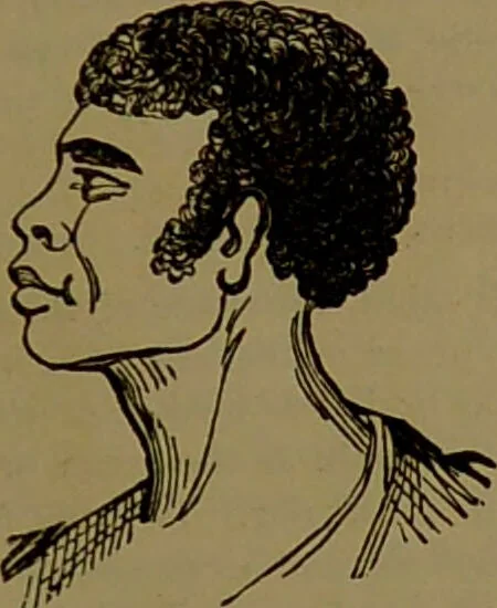 An illustration from Fowler's New illustrated self-instructor in phrenology and physiology : with over one hundred engravings, together with the chart and character of ... as marked by ... / by Lorenzo N. Fowler., 1893, leaf 73