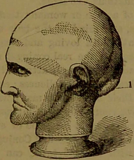 An illustration from Fowler's New illustrated self-instructor in phrenology and physiology : with over one hundred engravings, together with the chart and character of ... as marked by ... / by Lorenzo N. Fowler., 1893, leaf 83
