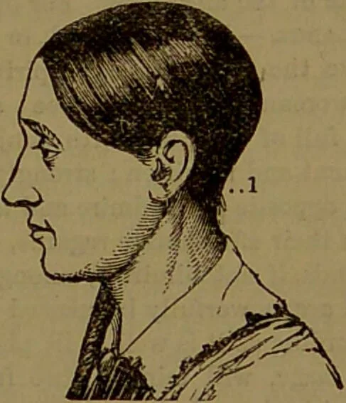 An illustration from Fowler's New illustrated self-instructor in phrenology and physiology : with over one hundred engravings, together with the chart and character of ... as marked by ... / by Lorenzo N. Fowler., 1893, leaf 83