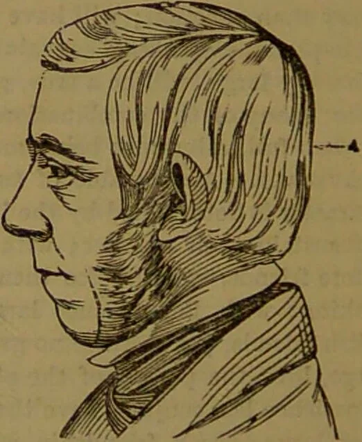 An illustration from Fowler's New illustrated self-instructor in phrenology and physiology : with over one hundred engravings, together with the chart and character of ... as marked by ... / by Lorenzo N. Fowler., 1893, leaf 94