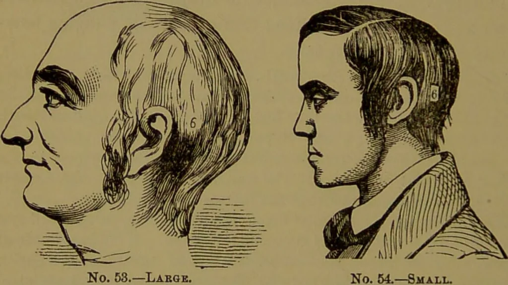 An illustration from Fowler's New illustrated self-instructor in phrenology and physiology : with over one hundred engravings, together with the chart and character of ... as marked by ... / by Lorenzo N. Fowler., 1895, leaf 100