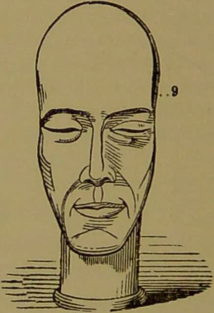 An illustration from Fowler's New illustrated self-instructor in phrenology and physiology : with over one hundred engravings, together with the chart and character of ... as marked by ... / by Lorenzo N. Fowler., 1895, leaf 108