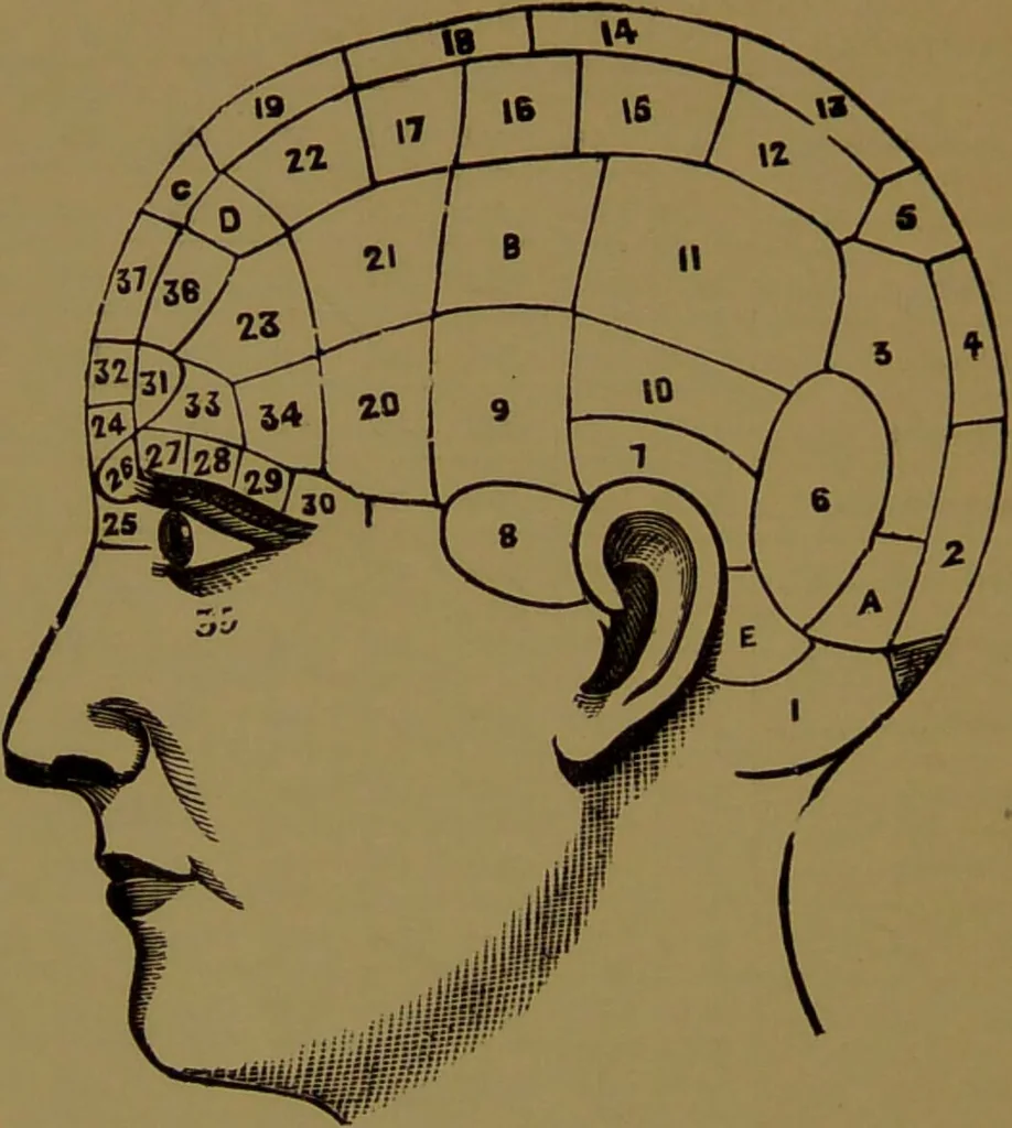 An illustration from Fowler's New illustrated self-instructor in phrenology and physiology : with over one hundred engravings, together with the chart and character of ... as marked by ... / by Lorenzo N. Fowler., 1895, leaf 12