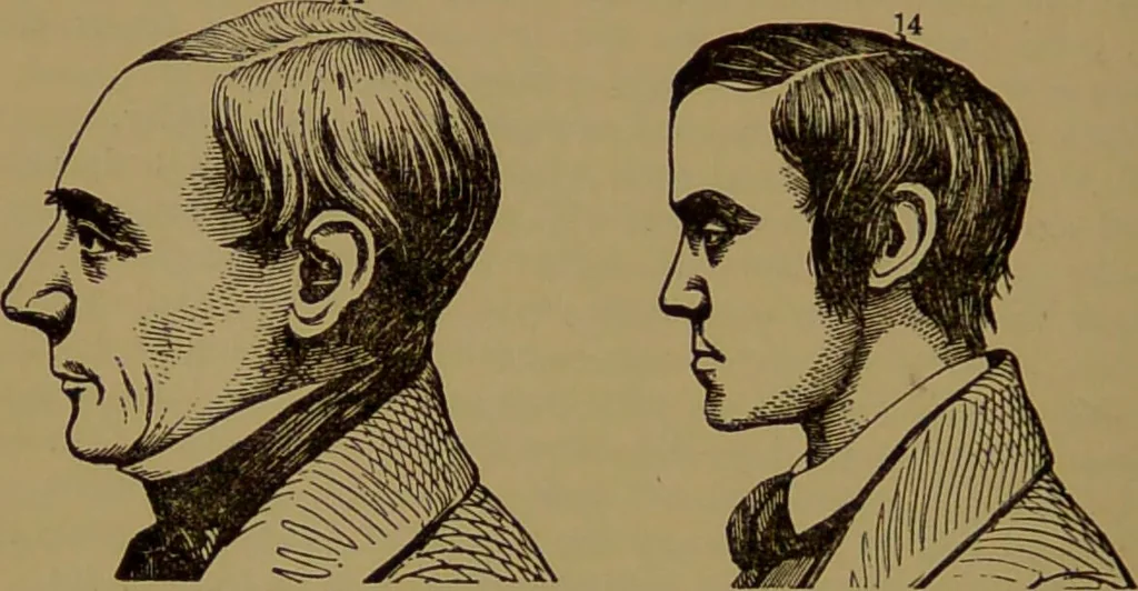 An illustration from Fowler's New illustrated self-instructor in phrenology and physiology : with over one hundred engravings, together with the chart and character of ... as marked by ... / by Lorenzo N. Fowler., 1895, leaf 122