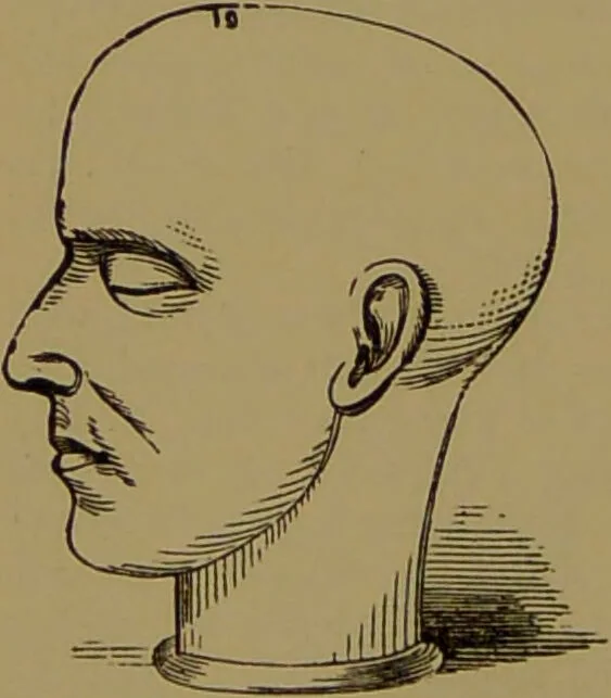 An illustration from Fowler's New illustrated self-instructor in phrenology and physiology : with over one hundred engravings, together with the chart and character of ... as marked by ... / by Lorenzo N. Fowler., 1895, leaf 134