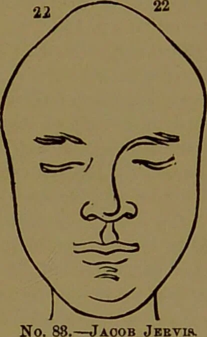 An illustration from Fowler's New illustrated self-instructor in phrenology and physiology : with over one hundred engravings, together with the chart and character of ... as marked by ... / by Lorenzo N. Fowler., 1895, leaf 143