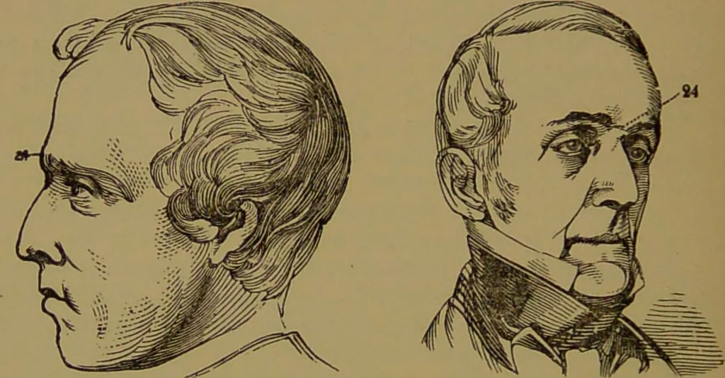 An illustration from Fowler's New illustrated self-instructor in phrenology and physiology : with over one hundred engravings, together with the chart and character of ... as marked by ... / by Lorenzo N. Fowler., 1895, leaf 150