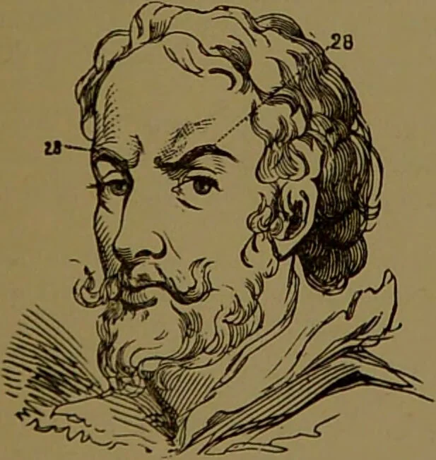 An illustration from Fowler's New illustrated self-instructor in phrenology and physiology : with over one hundred engravings, together with the chart and character of ... as marked by ... / by Lorenzo N. Fowler., 1895, leaf 151