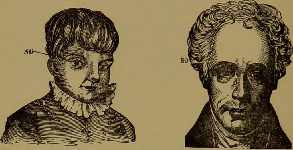 An illustration from Fowler's New illustrated self-instructor in phrenology and physiology : with over one hundred engravings, together with the chart and character of ... as marked by ... / by Lorenzo N. Fowler., 1895, leaf 158