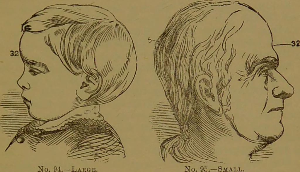 An illustration from Fowler's New illustrated self-instructor in phrenology and physiology : with over one hundred engravings, together with the chart and character of ... as marked by ... / by Lorenzo N. Fowler., 1895, leaf 161