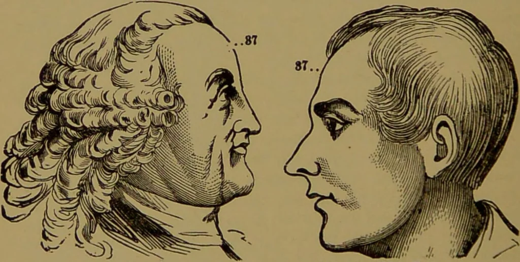 An illustration from Fowler's New illustrated self-instructor in phrenology and physiology : with over one hundred engravings, together with the chart and character of ... as marked by ... / by Lorenzo N. Fowler., 1895, leaf 170
