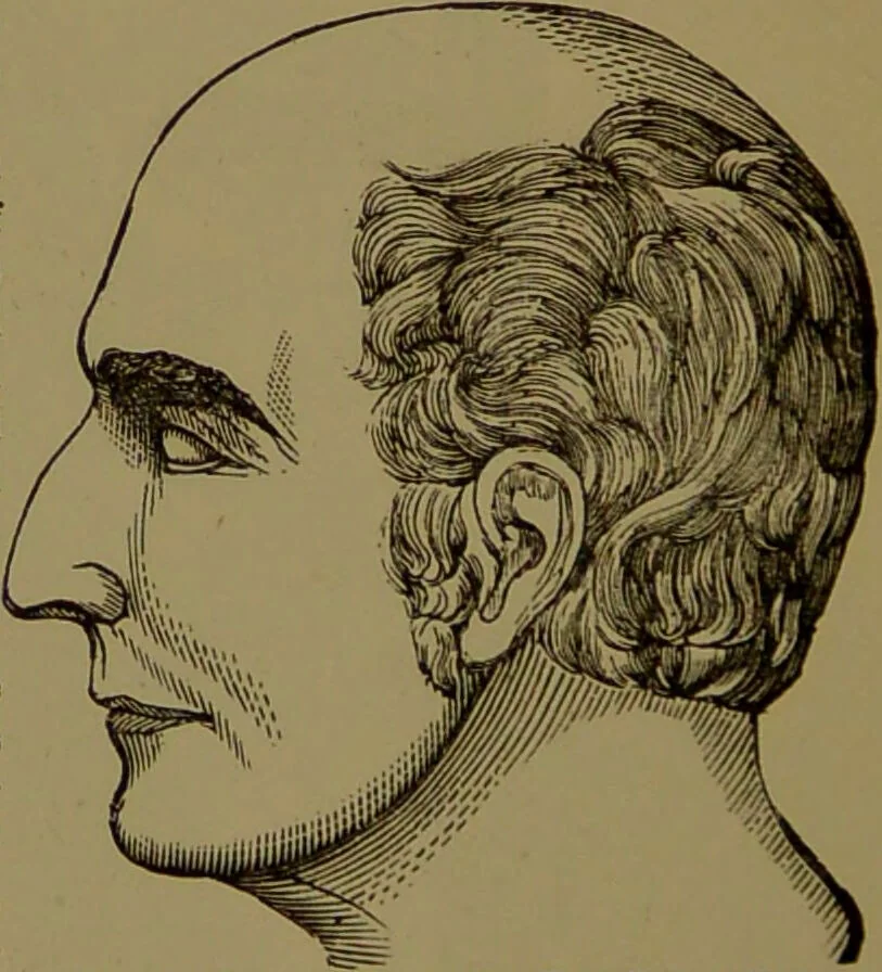 An illustration from Fowler's New illustrated self-instructor in phrenology and physiology : with over one hundred engravings, together with the chart and character of ... as marked by ... / by Lorenzo N. Fowler., 1895, leaf 58