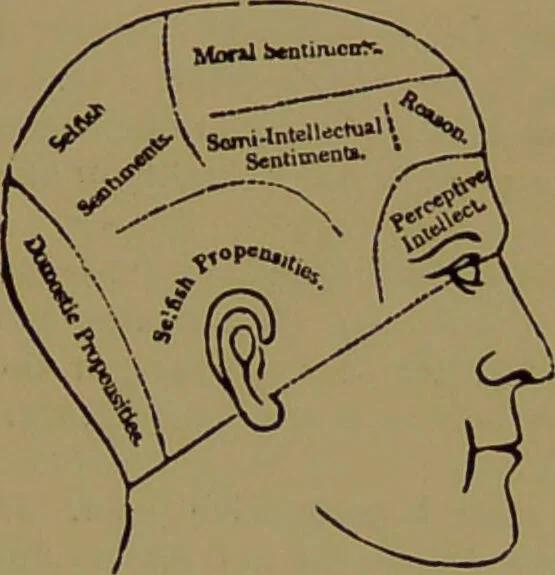 An illustration from Fowler's New illustrated self-instructor in phrenology and physiology : with over one hundred engravings, together with the chart and character of ... as marked by ... / by Lorenzo N. Fowler., 1895, leaf 70