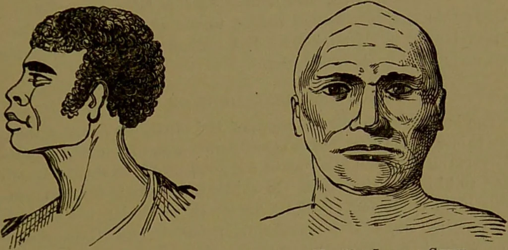 An illustration from Fowler's New illustrated self-instructor in phrenology and physiology : with over one hundred engravings, together with the chart and character of ... as marked by ... / by Lorenzo N. Fowler., 1895, leaf 73