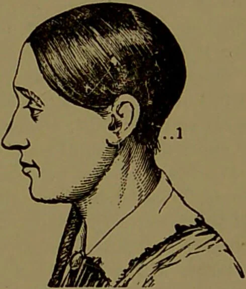 An illustration from Fowler's New illustrated self-instructor in phrenology and physiology : with over one hundred engravings, together with the chart and character of ... as marked by ... / by Lorenzo N. Fowler., 1895, leaf 83