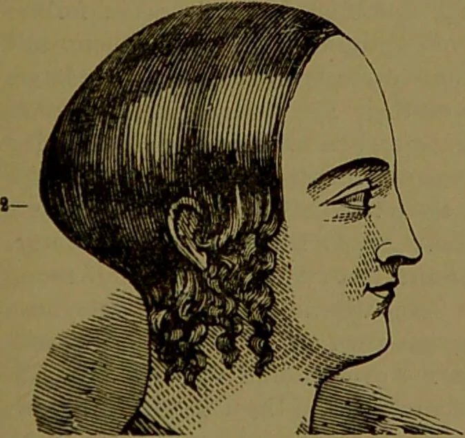 An illustration from Fowler's New illustrated self-instructor in phrenology and physiology : with over one hundred engravings, together with the chart and character of ... as marked by ... / by Lorenzo N. Fowler., 1895, leaf 89